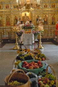 Фотоальбом "Преображения Господа Бога Спаса нашего и Иисуса Христа", фото - В.М. Грачев